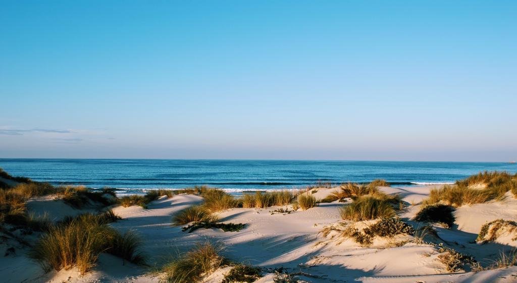 Sun & Wave Apartment Peniche Eksteriør billede